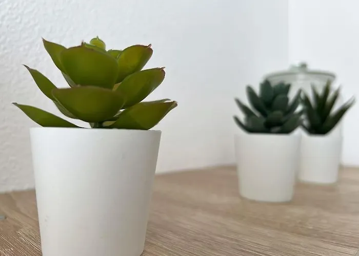 Apartman Alger Nantes